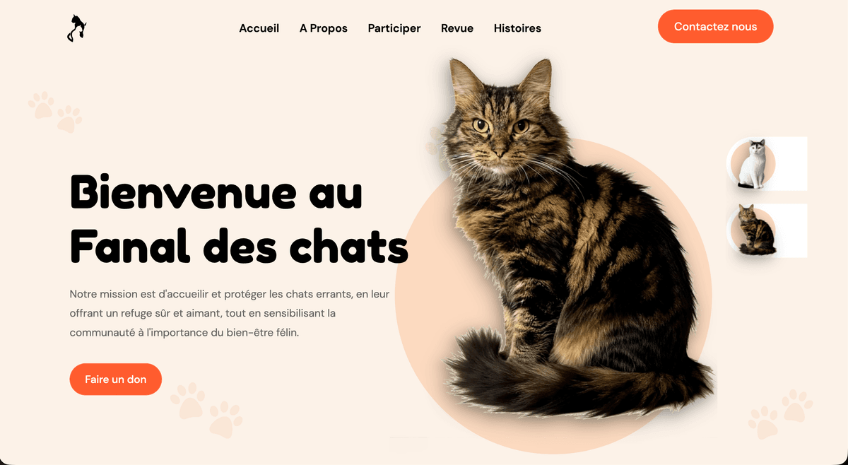 Le Fanal des Chats : Custom platform for an animal shelter
